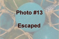 Photo-_013_Escaped_-Number