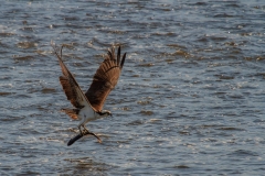 IMG_7617_edited-1