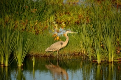 IMG_1378a