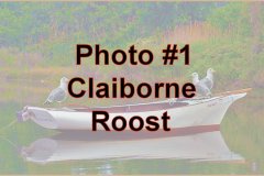 Photo-_001_Claiborne-Roost_-Number