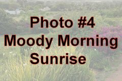 Photo-_004_Moody-Morning-Sunrise_-Number