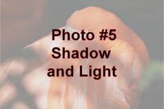 Photo-_005_Shadow-and-Light_-Number