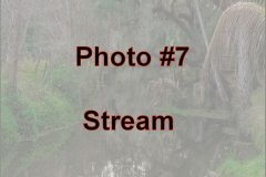 Photo-_007_Stream_-Number