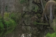 Photo-_007_Stream_-Photo